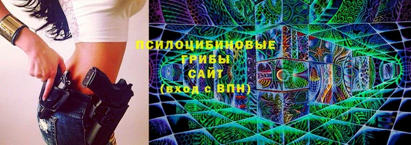 бошки Абаза