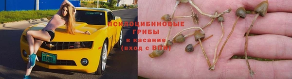 бошки Абаза