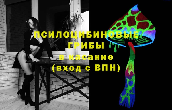 2c-b Приозерск