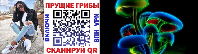 Псилоцибиновые грибы Psilocybe  Невельск 